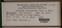 Image Associated With the Occurence